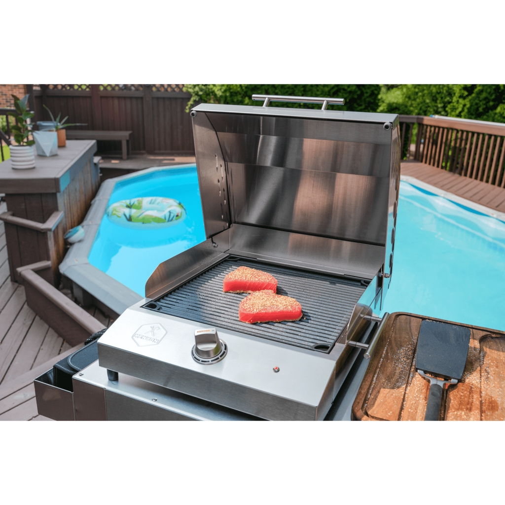 Kenyon G2 27-Inch 120V Portable Electric Grill with Integrated Stand