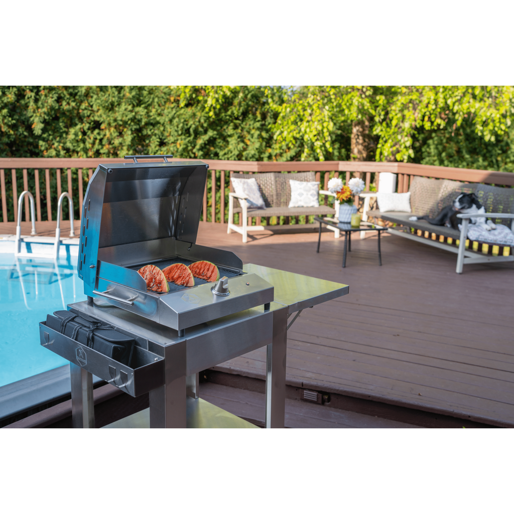 Kenyon G2 27-Inch 120V Portable Electric Grill with Integrated Stand