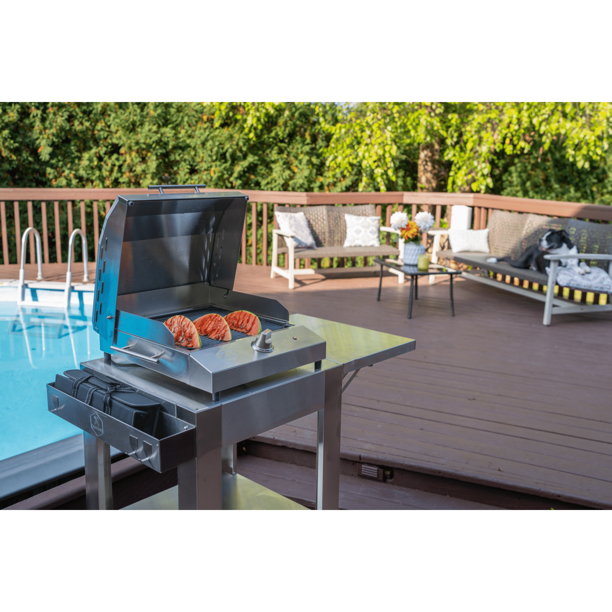 Kenyon G2 27-Inch 120V Portable Electric Grill with Integrated Stand
