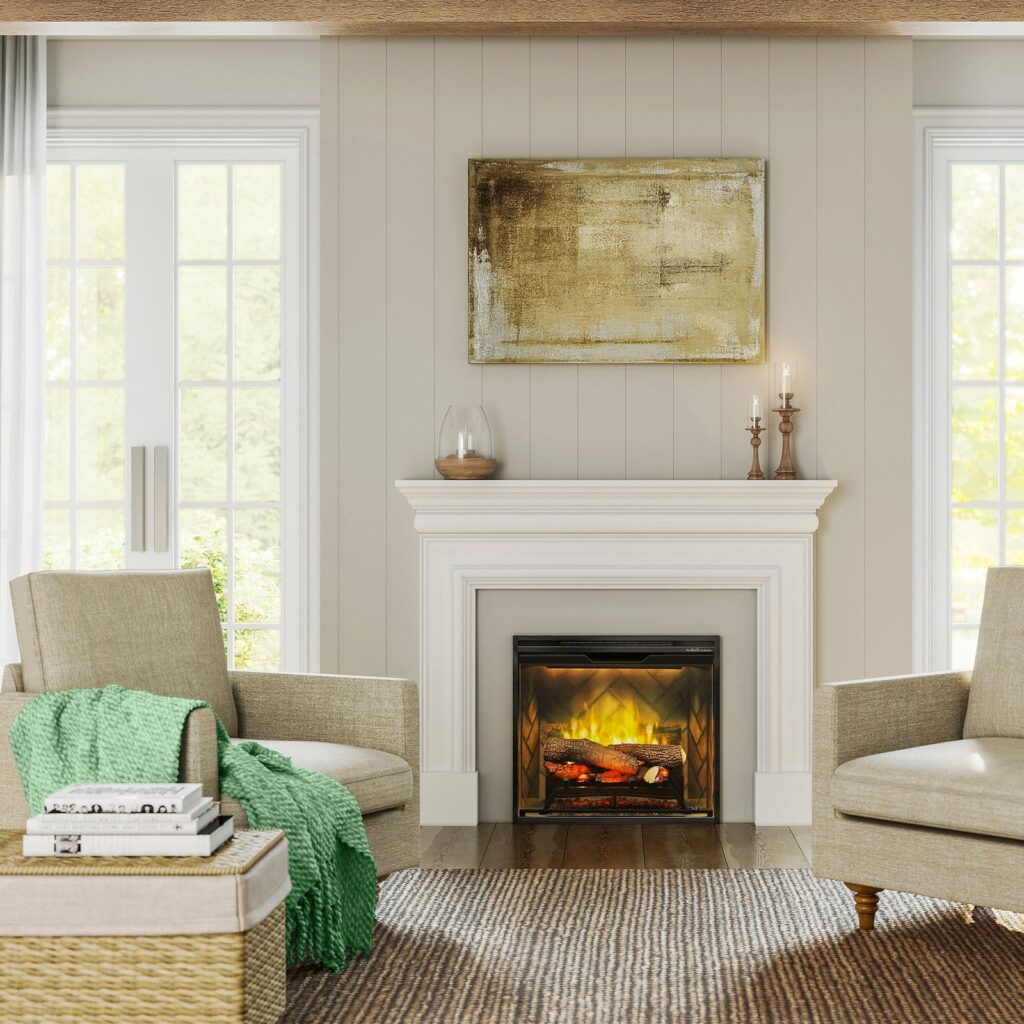 Dimplex Revillusion 24-Inch Built-In Electric Fireplace (Model RBF24DLX)